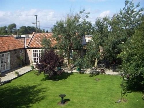 Yew Tree House - B&B Burnham-on-Sea Exterior foto
